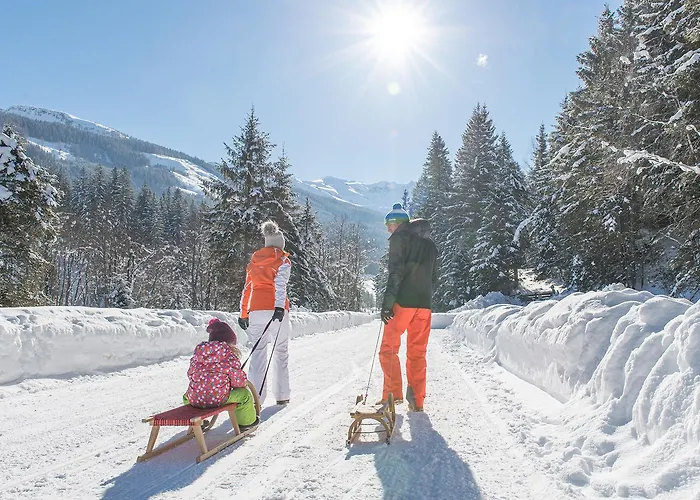 Aparthotel Alpinegold Residenz 4*